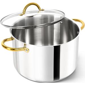 MICHELANGELO Stainless Steel Pots – Large Soup Pot with Lid, 10 Quart Stock Pot with Lid, Cooking Pots Induction Compatible, Oven & Dishwasher Safe(10 Quart)